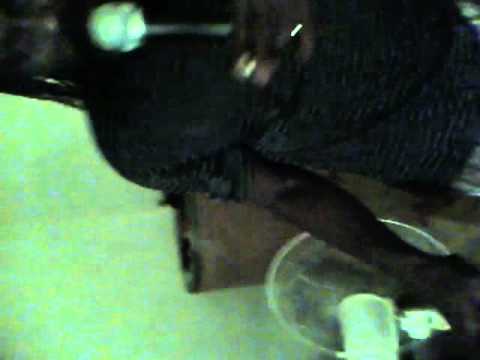 kojo neatness and pom pom vibzing