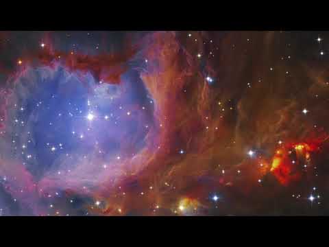 Daddy's Groove Stellar (Martin Garrix Remix) VS Firebeatz & Schella Wicked (STARBLAZERZ MASHUP)