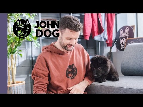 Jak oduczyć szczeniaka podgryzania dłoni - TRENING PSA - John Dog