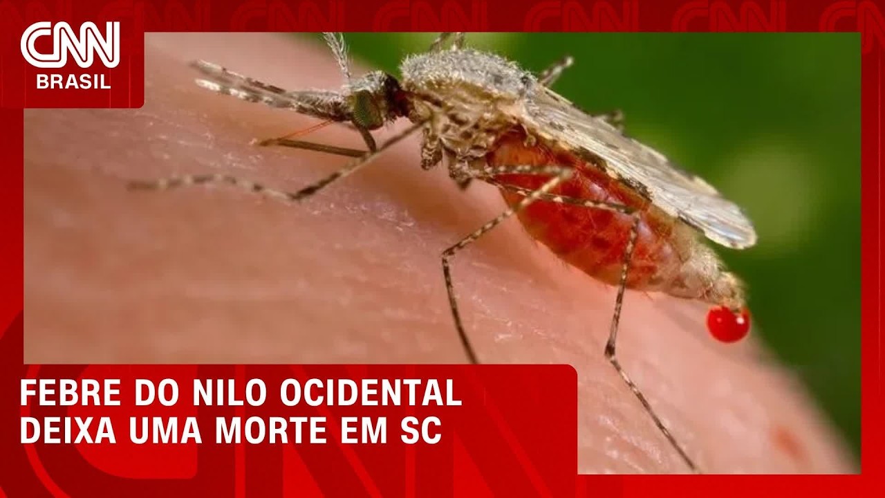 Morte por Febre do Nilo Ocidental é confirmada em Santa Catarina | CNN NOVO DIA
