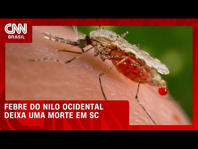 Morte por Febre do Nilo Ocidental é confirmada em Santa Catarina | CNN NOVO DIA