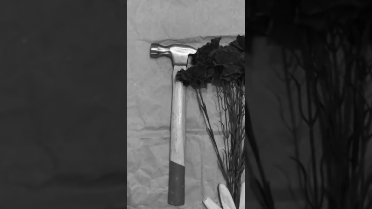 The Hammer (Roman Alekseev) 2020 - Trailer (vertical)