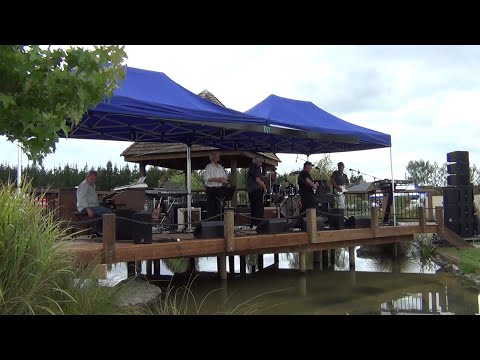 Peter Nelson and The Castaways at Flaxwood Festival 2012