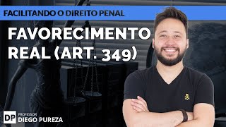 Favorecimento real (Art. 349 do Código Penal)