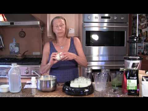 Green Lion YoLife Yogurt Maker from Tribest