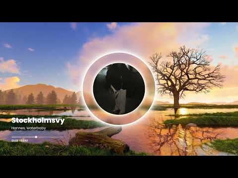 Hannes, waterbaby - Stockholmsvy (Visualizer)