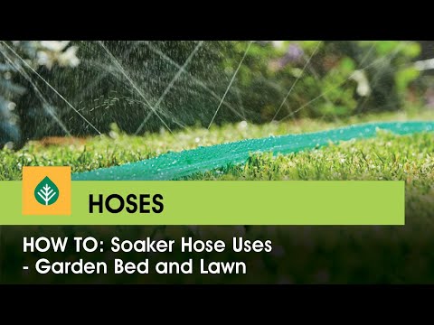 How to: Soaker hose uses - garden bed and lawn