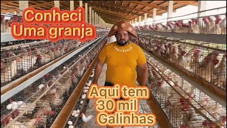 Essa Granja tem 30 mil Galinhas, fizemos uma parada no meio do caminho pra mostrar uma granja