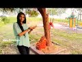 Kehta Hai Pal Jeete Hain Chal Nature Spirituality