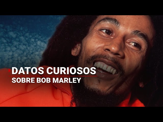 Vídeo relacionado con Bob marley: La vida del genial cantante de reggae (MUSICA)