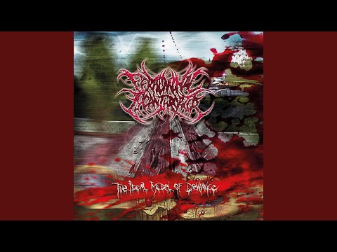 The Deadly Equilibrium of an Elastic Womanizer