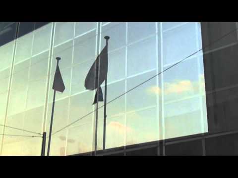 56-One minute of videoart every day - Drapeaux