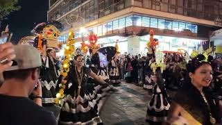 【2026年最新】メキシコ・オアハカの「死者の日」パレード2025！熱気あふれる祝祭の一部始終を公開