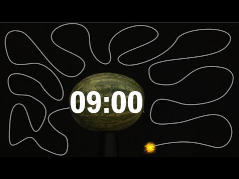 9 Minute Timer BOMB [Watermelon] 💥🍉