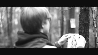 Fawn Spots - New Sense