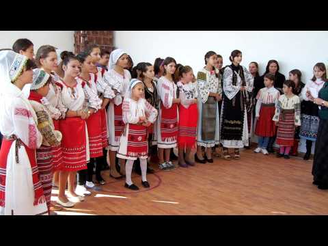 Muzica Populara Scaiesti