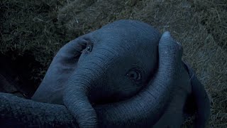 Dumbo (2019) | &quot;Baby Mine&quot; Clip [HD]