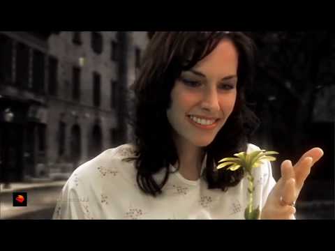 YANNI - One man's dream (remix)