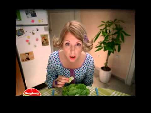 Neoplanta, Pipi & Gudi TVC