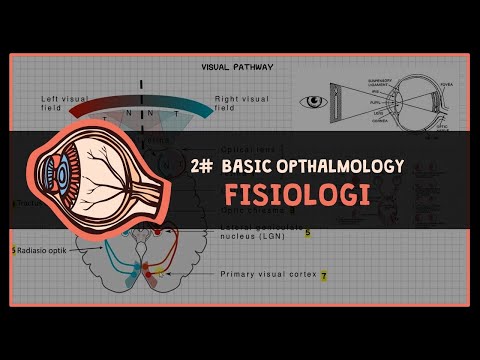Physiology of Vision (Refraction & Visual Pathway) #1 BASIC OPHTHALMOLOGY