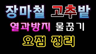[텃밭농부.675]  장마철 고추열과 방지 물끊기 요점정리. #고추밭물끊기 #고추열과 #고추다수확
