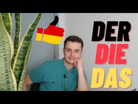 DER DIE DAS? Кој член да го искористите? | Род на германски јазик - А1 - А2 | ARTIKEL | GENUS #1