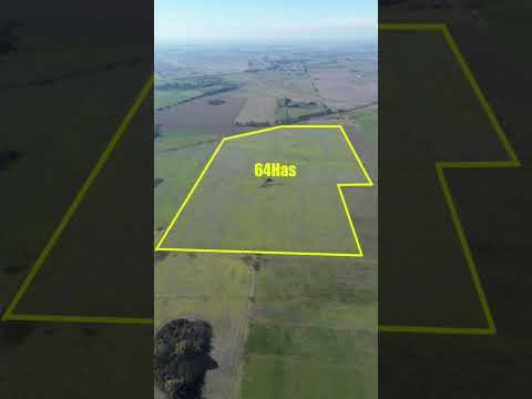 EN VENTA: 64 Hectáreas 100% agrícolas en Capitán Sarmiento, Buenos Aires, Argentina.