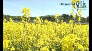 preview picture of video 'Ostseebad Sellin auf der Insel Rügen'