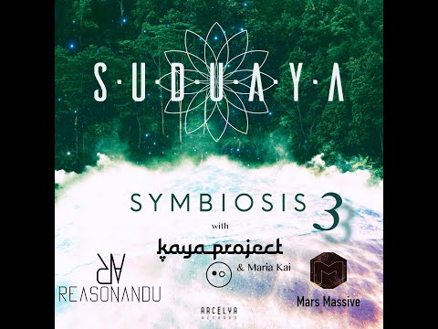 SUDUAYA & REASONANDU - Moving Forward (Original Mix)