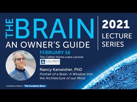 Portrait of a Brain: A Window into the Architecture of Our Mind