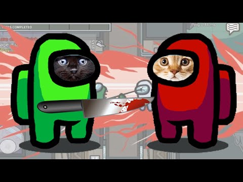 🔪 YAVRU KEDİ KATİL OLDU 🔪 - Among Us Canlı Yayını