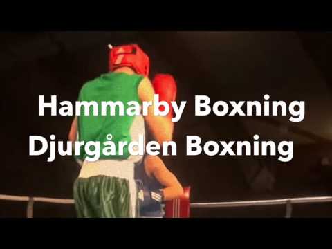 Bajen Rough House 2015 Trailer