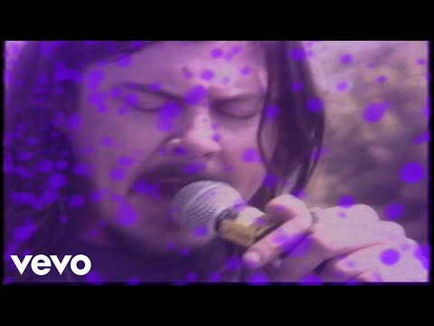 Butthole Surfers - Dust Devil