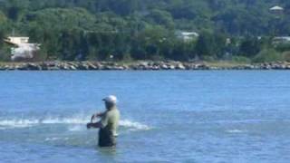preview picture of video 'Os botos e os pescadores em Laguna'