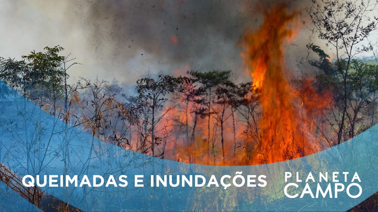 Extremos do clima podem reduzir em até 30% a produtividade agrícola em 2025