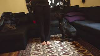 Kontaktutmaning Dag 2