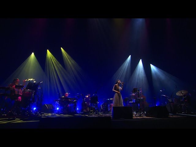 藤原さくら ライブ音源「wood mood (live at NHK Hall, 2024)」12月25日(水)配信リリース決定!リリースに先駆け、12月18日(水)に「daybreak (live 2024)」を先行配信! 3 YouTubeサムネイル