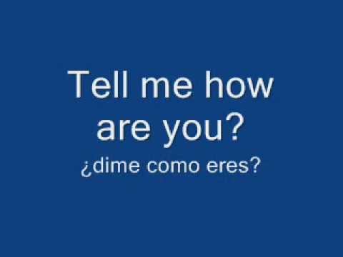 twenty  wild  horses-status quo