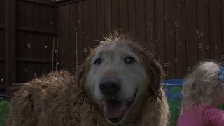 Download lagu 'Hello, Bubbles'- Activity Break, Musical Energizer mp3