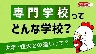 専門学校ってどんな学校？