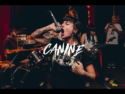 Canine | Blackwire Records