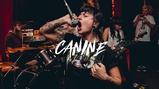 Canine | Blackwire Records