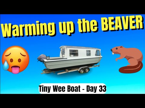 HOT BEAVER... and starting the SHOWER room - Tiny Wee Boat Day 33