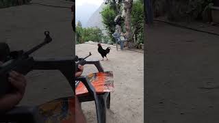 nx200 airgun hunting  power  , one shot and dead  #nx200 #bestairgun #reels #airgunvideos