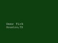 Deer Tick Houston TX 