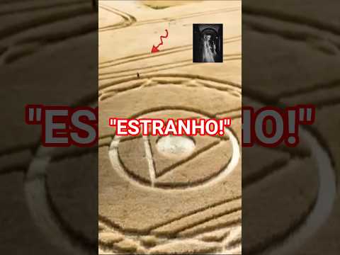 “Quem Fez Isso? Novos Desenhos Aparecem em Ipuaçu 👽” #curiosidades #misterio