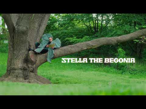 Video thumbnail for Stella The Begonia