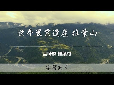 世界農業遺産　椎葉山　魅力発信プロモーションビデオ（日本語・字幕有り）