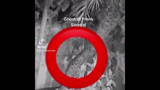 Ghost of Frank Sinatra!