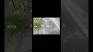 setlog向いてない